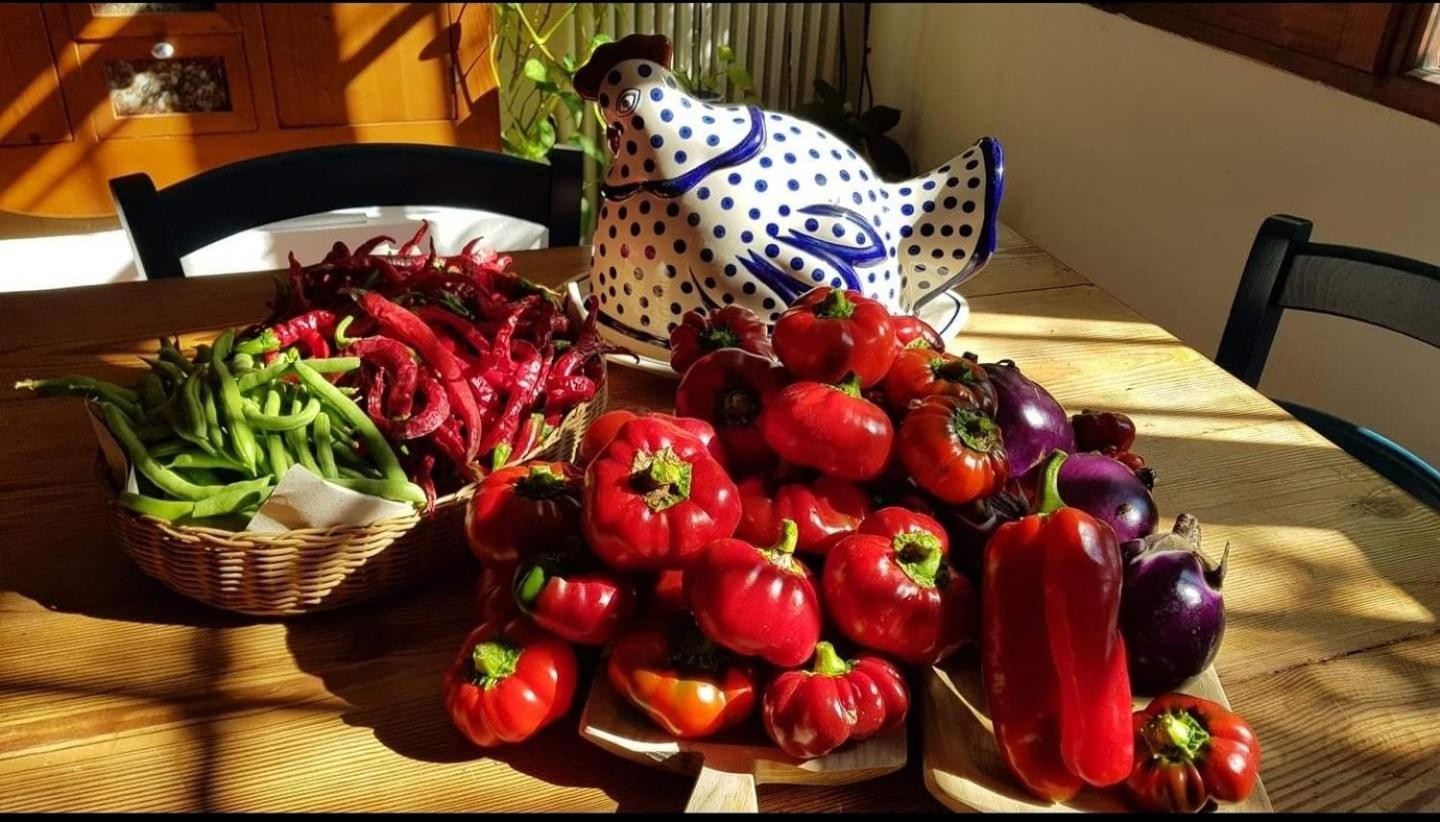 Il Giardino Di Frafa Appartement Quartu SantʼElena Buitenkant foto
