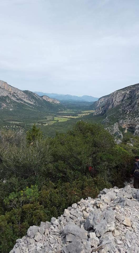 Il Giardino Di Frafa Appartement Quartu SantʼElena Buitenkant foto