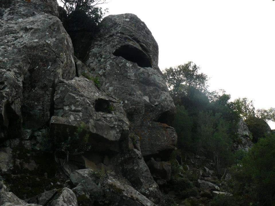 Il Giardino Di Frafa Appartement Quartu SantʼElena Buitenkant foto